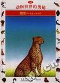 猎豹--速度记录冠军(18)