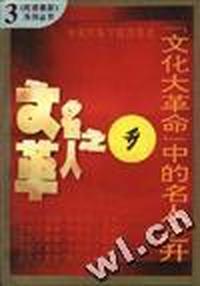 “文化大革命”中的名人之升(3)