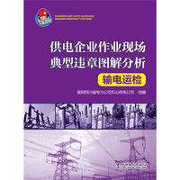 输电运检-供电企业作业现场典型违章图解分析