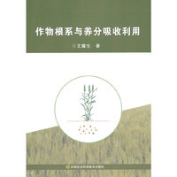 作物根系与养分吸收利用