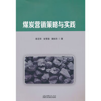 煤炭营销策略与实践