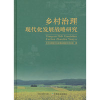 乡村治理现代化发展战略研究