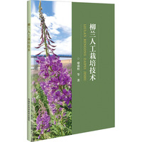 柳兰人工栽培技术
