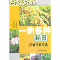 一地多种稻田高效种植模式