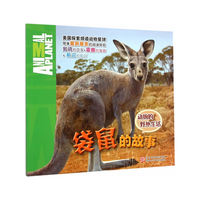 袋鼠的故事-动物的野外生活