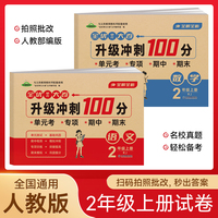 小学二年级语文+数学试卷测试卷上册 升级冲刺100分卷总复习必刷资料练习题集知识大盘点专项试卷模拟试卷测试卷