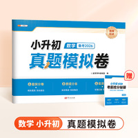 小升初名校冲刺卷数学小升初真题卷人教版小学升初中分班测试卷小学六年级升学总复习真题卷考试卷子