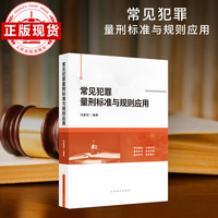 常见犯罪量刑标准与规则应用