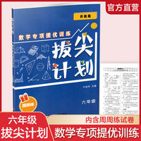 拔尖计划：数学专项提优训练（六年级）