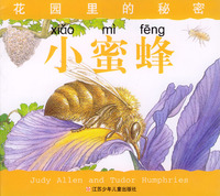 小蜜蜂(花园里的秘密)