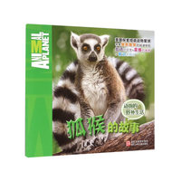 狐猴的故事-动物的野外生活
