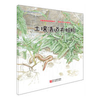 为什么树叶会变色?