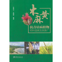 木麻黄抗青枯病植物材料选育及其推广