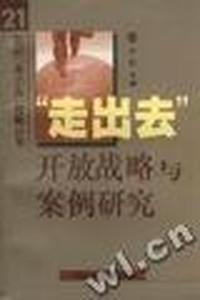 “走出去”开放战略与案例研究