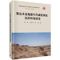 柴达木盆地新生代咸化湖盆沉积环境演变郭佩9787030822390科学出版社