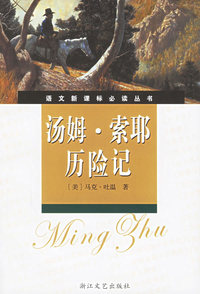 汤姆·索耶历险记