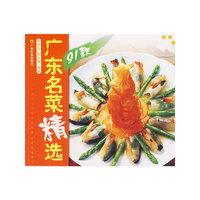 广东名菜精选91款