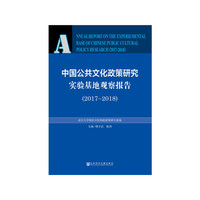 中国公共文化政策研究实验基地观察报告（2017-2018）