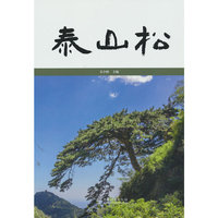 泰山松(精)
