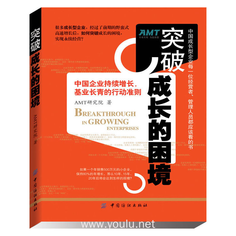 突破成长的困境:再造成长型企业持续增长