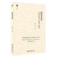 跨国劳动法：全球化条件下的劳工保护 北大法学文库 陈一峰