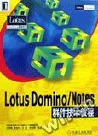 Lotus Domino/Notes群件技术教程