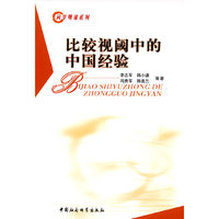 比较视阈中的中国经验