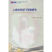 云南农村沼气发展研究