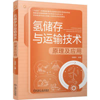 氢储存与运输技术：原理及应用   马寅杰    氢能 储氢 安全