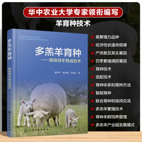 多羔羊育种—— 超级母羊育成技术