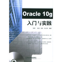 Oracle 10g 入门与实践