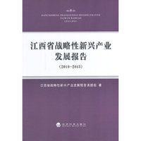 2010-2013-江西省战略性新兴产业发展报告