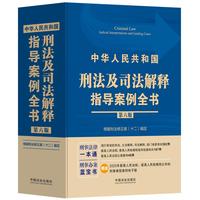 中华人民共和国刑法及司法解释指导案例全书【根据刑法修正案（十二）编定】（第六版）