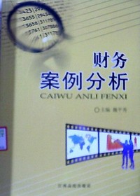 财务案例分析
