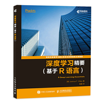 深度学习精要 基于R语言