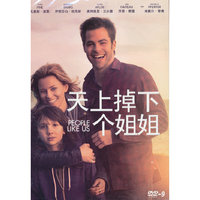 天上掉下个姐姐DVD9(DVD)