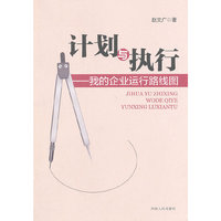 计划与执行：我的企业运行路线图