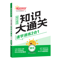 2025版阳光同学初中基础知识大通关语文知识点必背大盘点七八九年级速记手册资料大全初中通用
