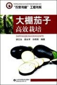 大棚茄子高效栽培