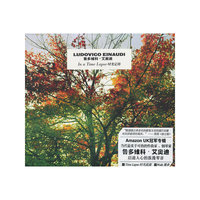 鲁多维科&middot;艾奥迪：时光定格（CD）