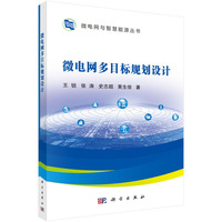 微电网多目标规划设计