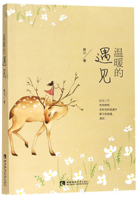 温暖的遇见