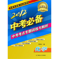 2012中考考点专题训练与解析化学