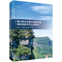 高山峡谷区重大地质灾害精准调查评价方法研究
