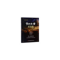 梦回大宋看奇案