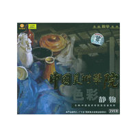 色彩静物中国美术学院(VCD)