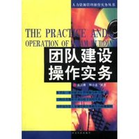 团队建设操作实务/人力资源管理操作实务丛书(人力资源管理操作实务丛书)
