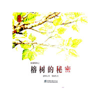 榕树的秘密(精)/纷繁版纳