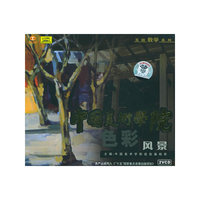 色彩风景中国美术学院(VCD)