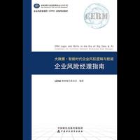 大数据·智能时代企业风控逻辑与技能
